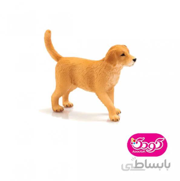 توله سگ گلدن 387205 – حیوانات موجو