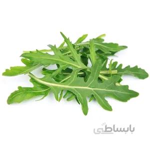 بذر سبزی منداب
