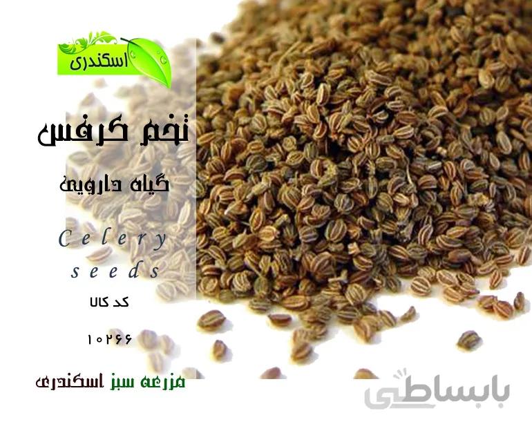 تخم کرفس