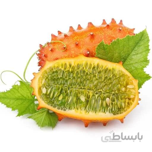 بذر خیار افریقایی گرد