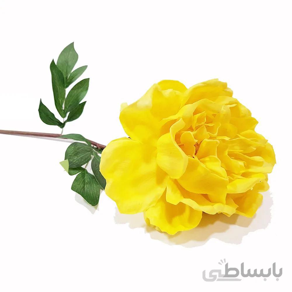گل رز شکفته لمسی