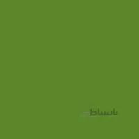 رنگ اکریلیک 250ml وستا Sap Green (37) -10011
