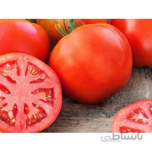 بذر گوجه دلمه ای قرمز ببری درختی