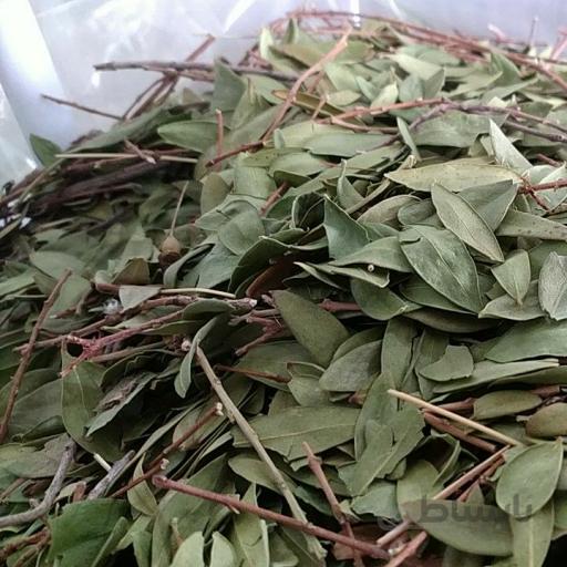 برگ مورد (سبک زندگی و طب اسلامی شیعی)