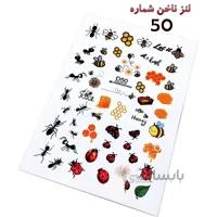 لنز ناخن D50