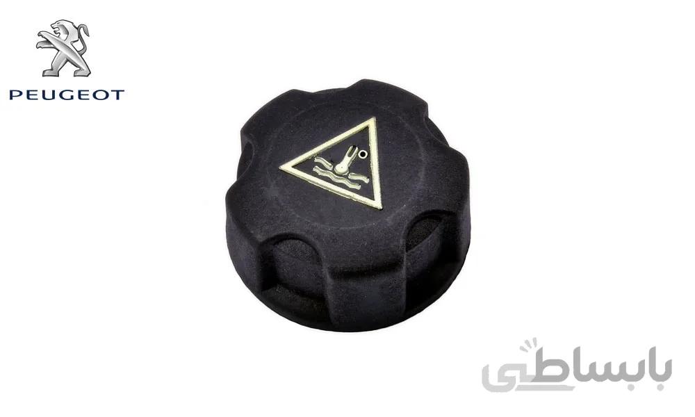 درب منبع انبساط پژو 206