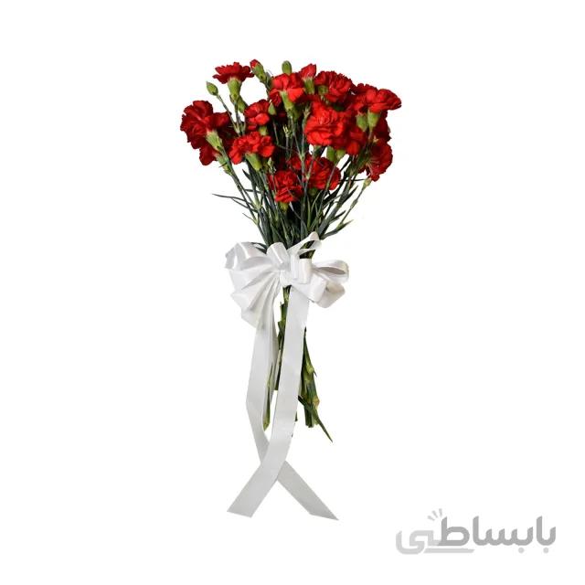 گل میخک شاخه ای
