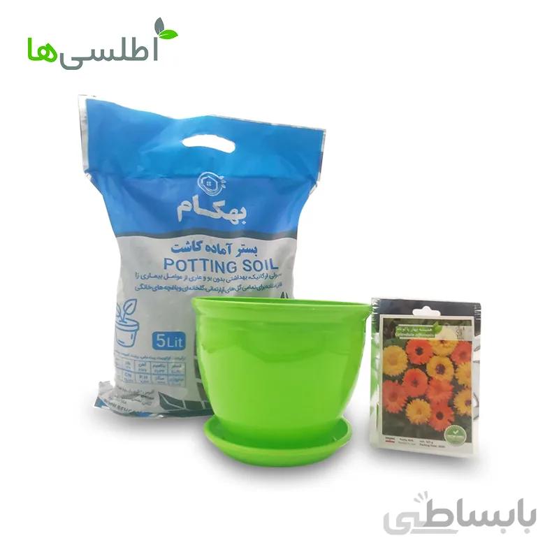 پکیج همیشه بهار پاکوتاه