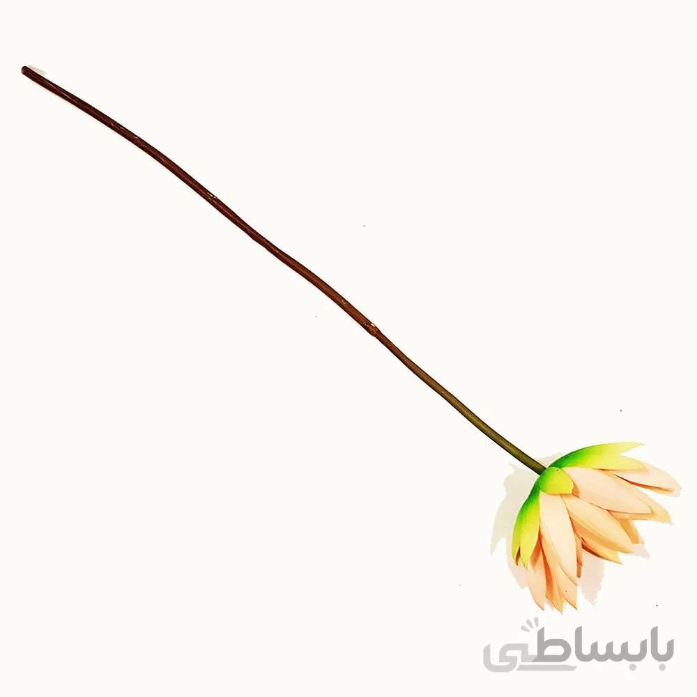 گل مرداب شاخه ای لمسی