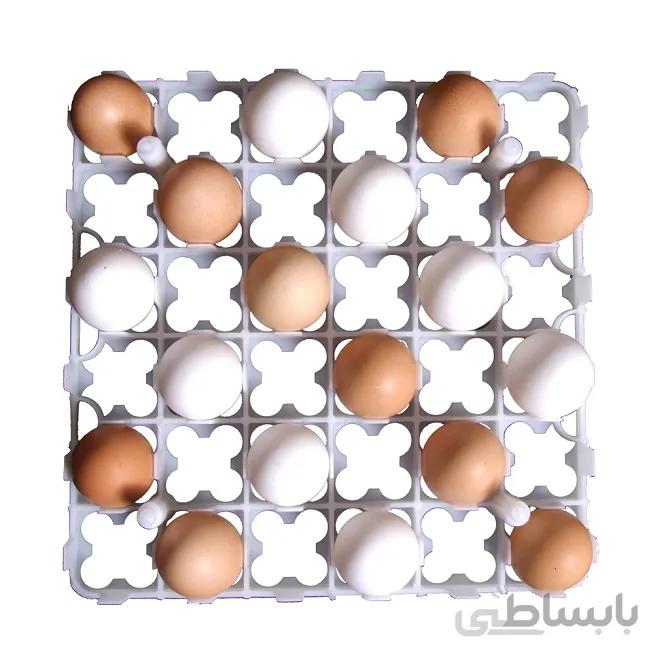 شانه تخم مرغ دستگاه جوجه کشی 36 عددی پارس مدل PT-403 ا Pars Egg Tray PT-403