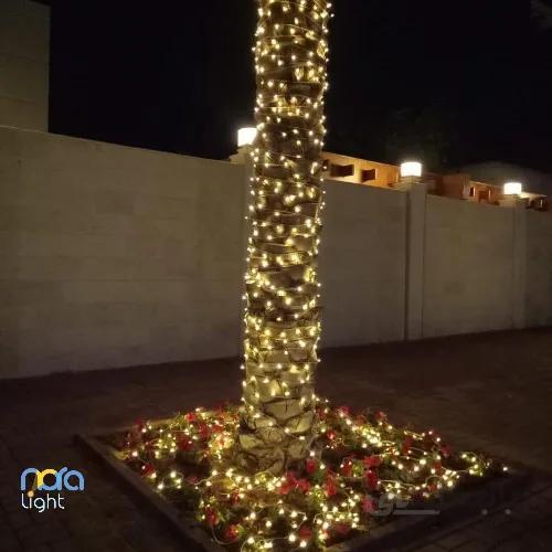 ریسه سوزنی ۵۰ متری آفتابی