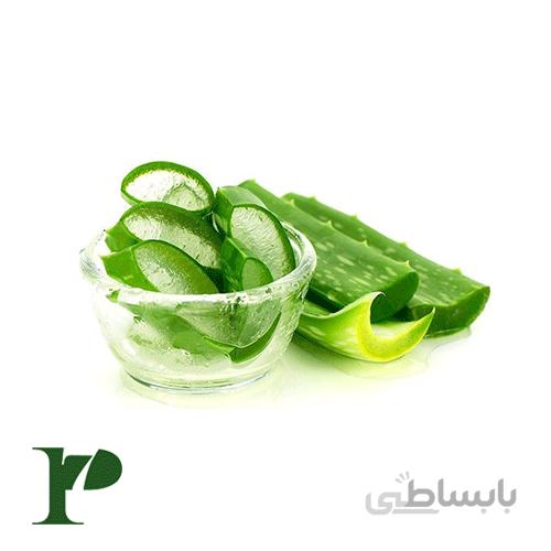 گیاه آلوئه ورا 1 عدد
