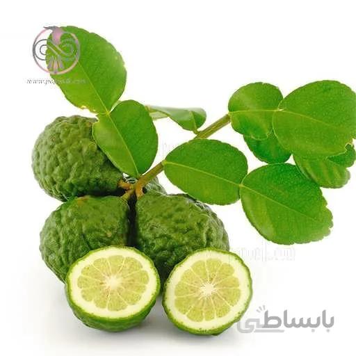 نهال ليمو ترش كفيرلايم