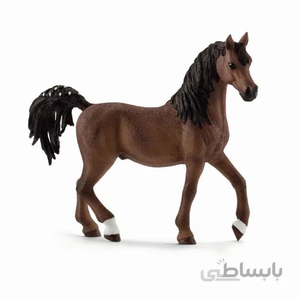 اسب عرب اشلایش 13811