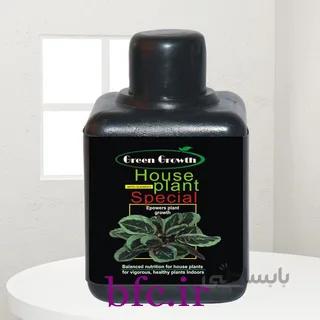 کودگیاهان آپارتمانی گیاهان سبز درجه عالی