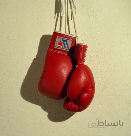 ورزش رزمی ووشو