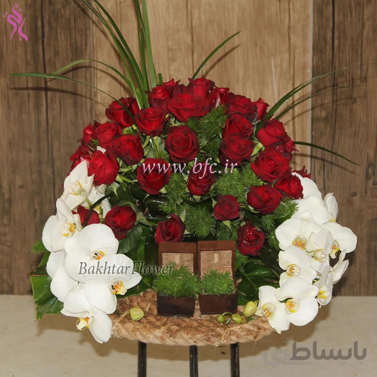 جا حلقه ای عروس