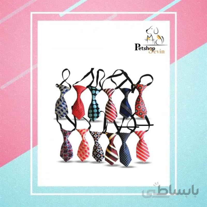 کراوات سگ و گربه در رنگ بندی مختلف