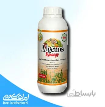کود مایع آلجیوس سینرژی عصاره جلبک دریایی محصول کشور هلند