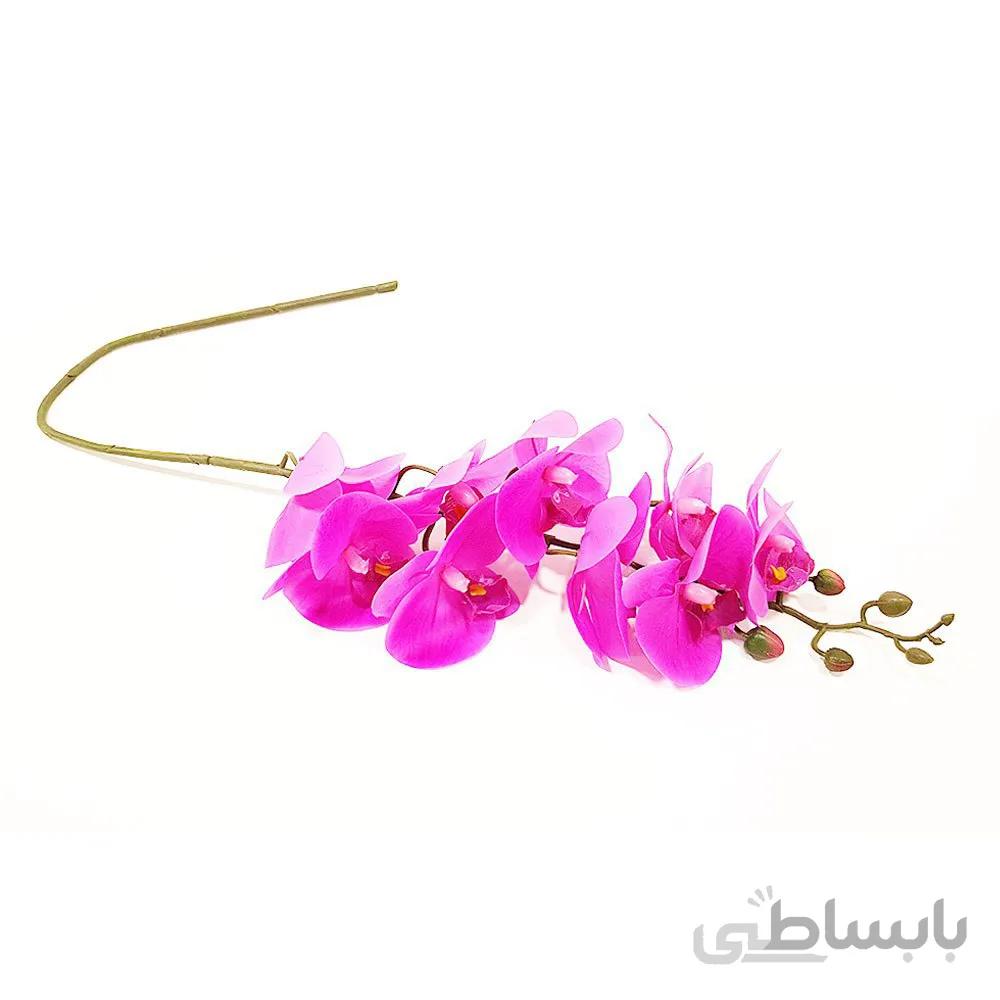 گل ارکیده لمسی