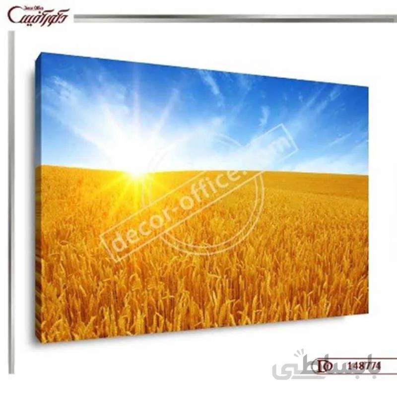 تابلو مزرعه گندم زار 8774 ا Wheat field painting 8774