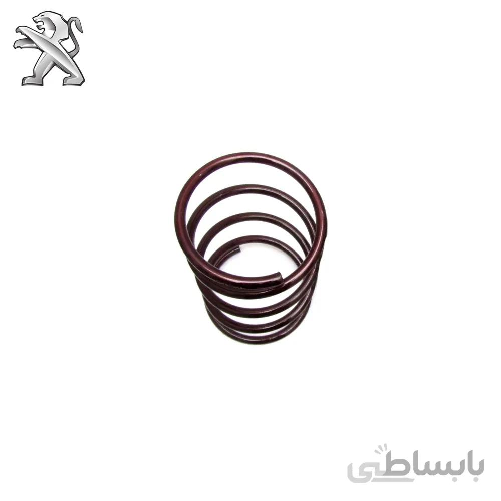 فنر لول پژو 206