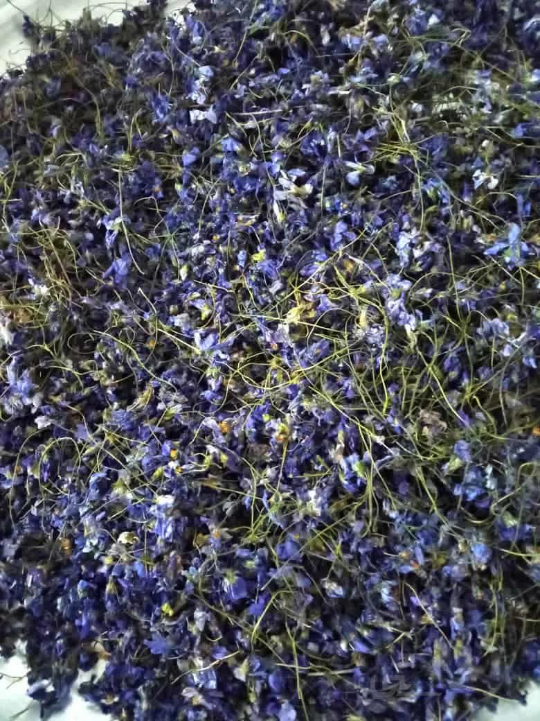 گل بنفشه مارجون بسته 25گرمی
