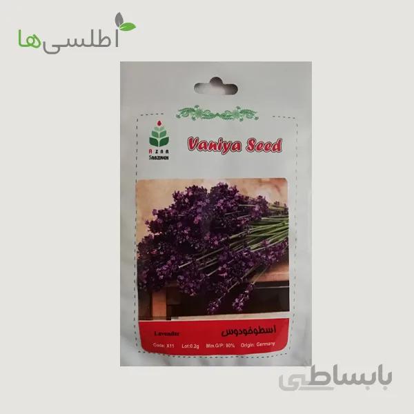 بذر اسطوخودوس