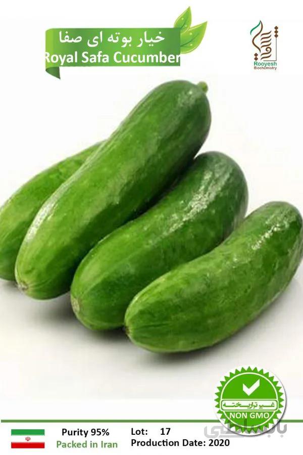 بذر خیار بوته ای درجه یک