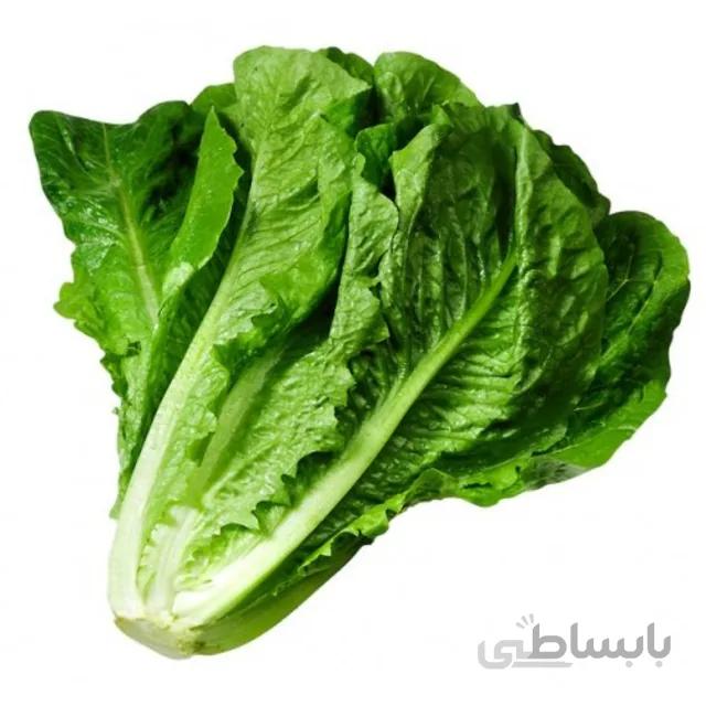 بذر کاهو بسته ۵ گرمی