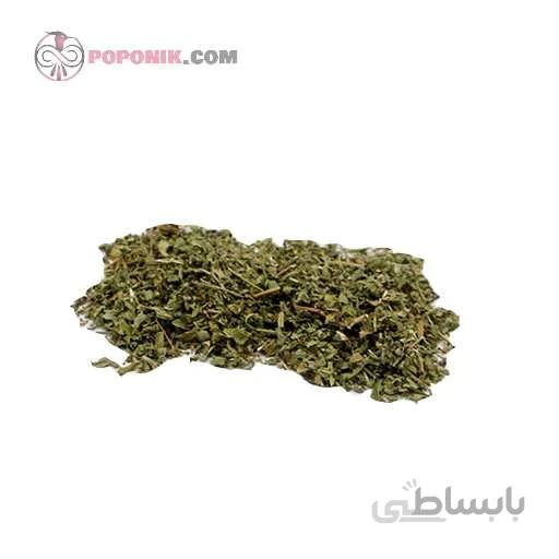 پونه خشک شده