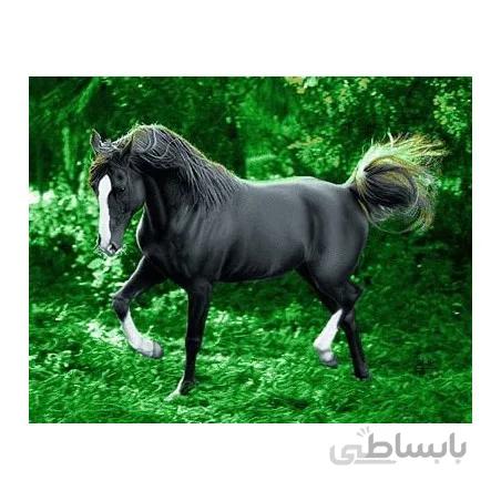 نخ و نقشه تابلو فرش حیوانات کد 33