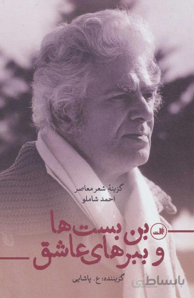 بن بست و ببرهاي عاشق (كد ناشر : 105)