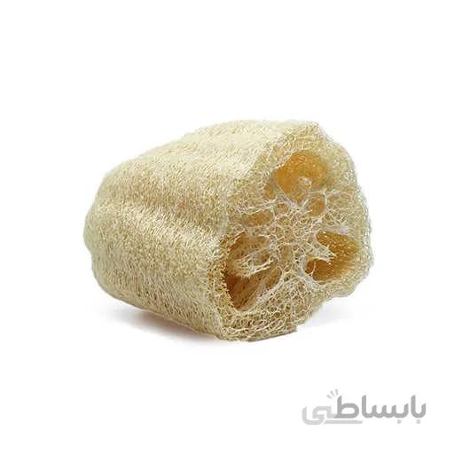 بذر گیاه لوفا