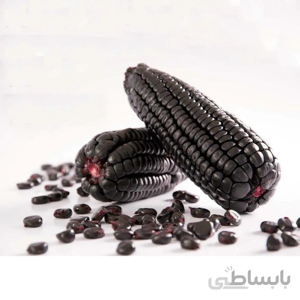 بذر ذرت شرابی (اناری)