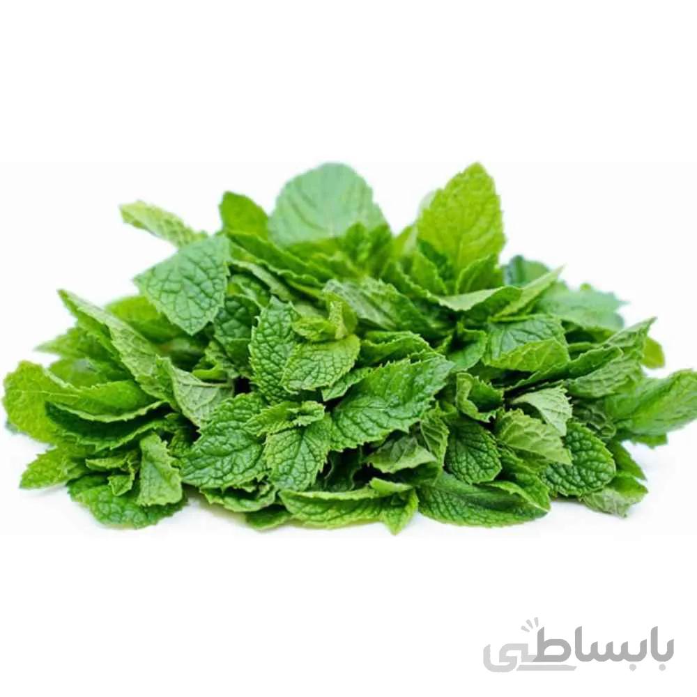 بذر نعناع