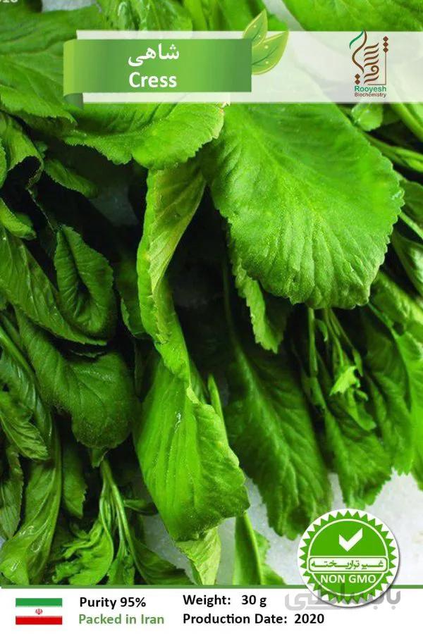 بذر شاهی خانگی برگ پهن