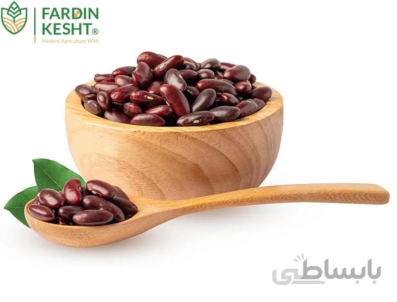 بذر لوبیا قرمز اصیل ایرانی ارگانیک بسته 30 عددی