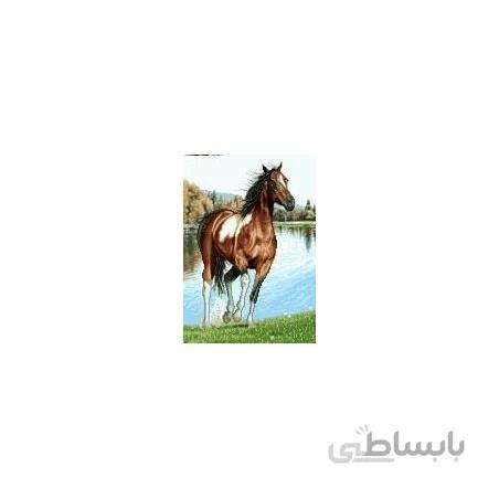 نخ و نقشه آموزشی تابلو فرش کد 8
