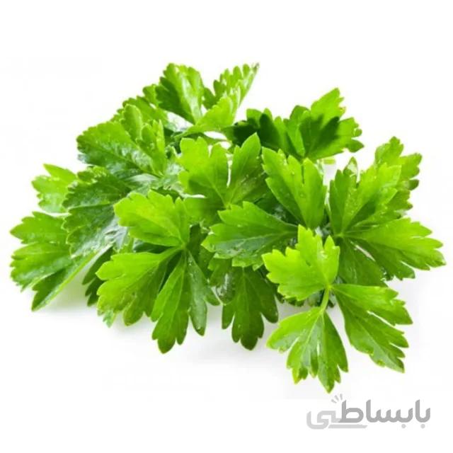 بذر گشنیز بسته ۱۲ گرمی