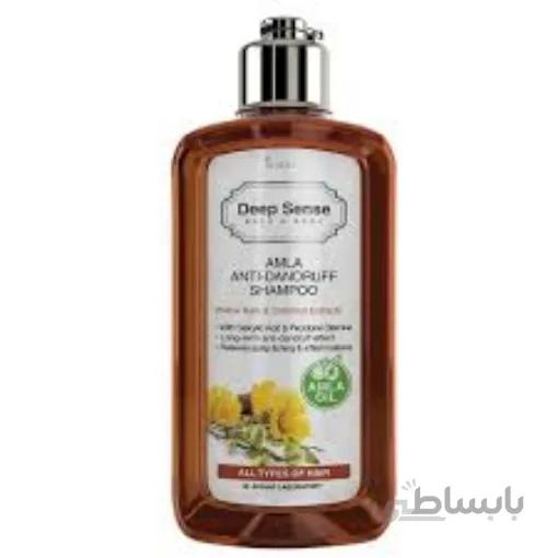 شامپو ضد شوره دیپ سنس سی گل ا Seagull Deep Sense Amla Anti-Dandruff Shampoo