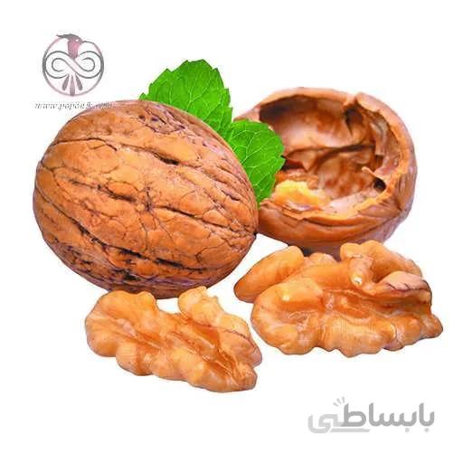 نهال گردو اسراييلی