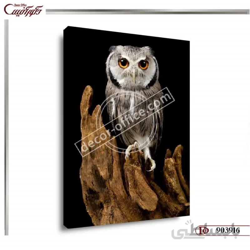 تابلو جغد 3916 ا Owl painting 3916