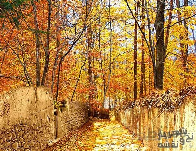 نخ و نقشه بافت تابلو فرش طبیعت پاییزی کوچه باغ - 1291