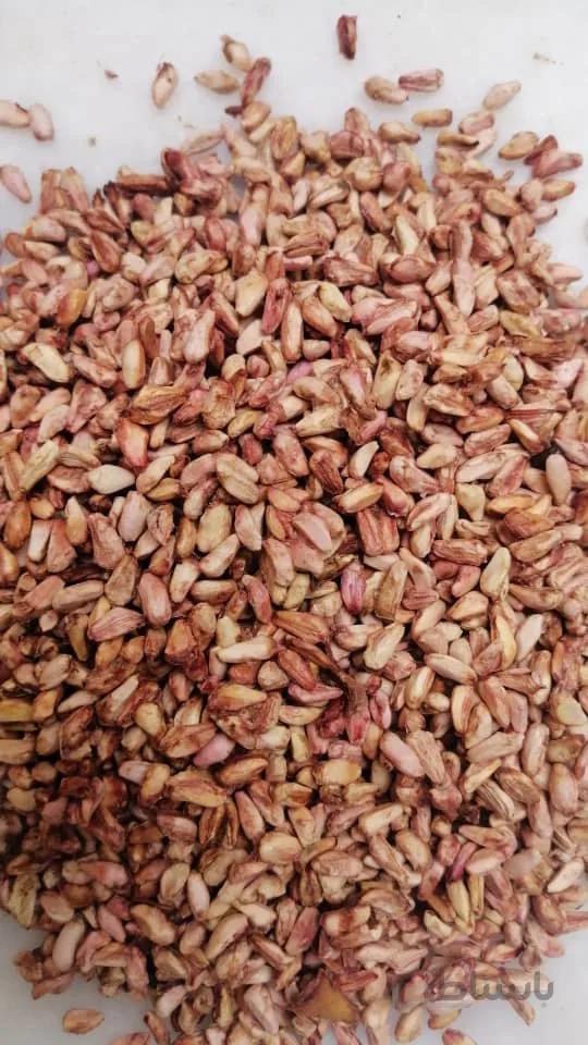 هسته انار مخصوص روغن گیری