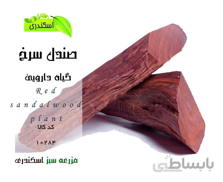 صندل سرخ