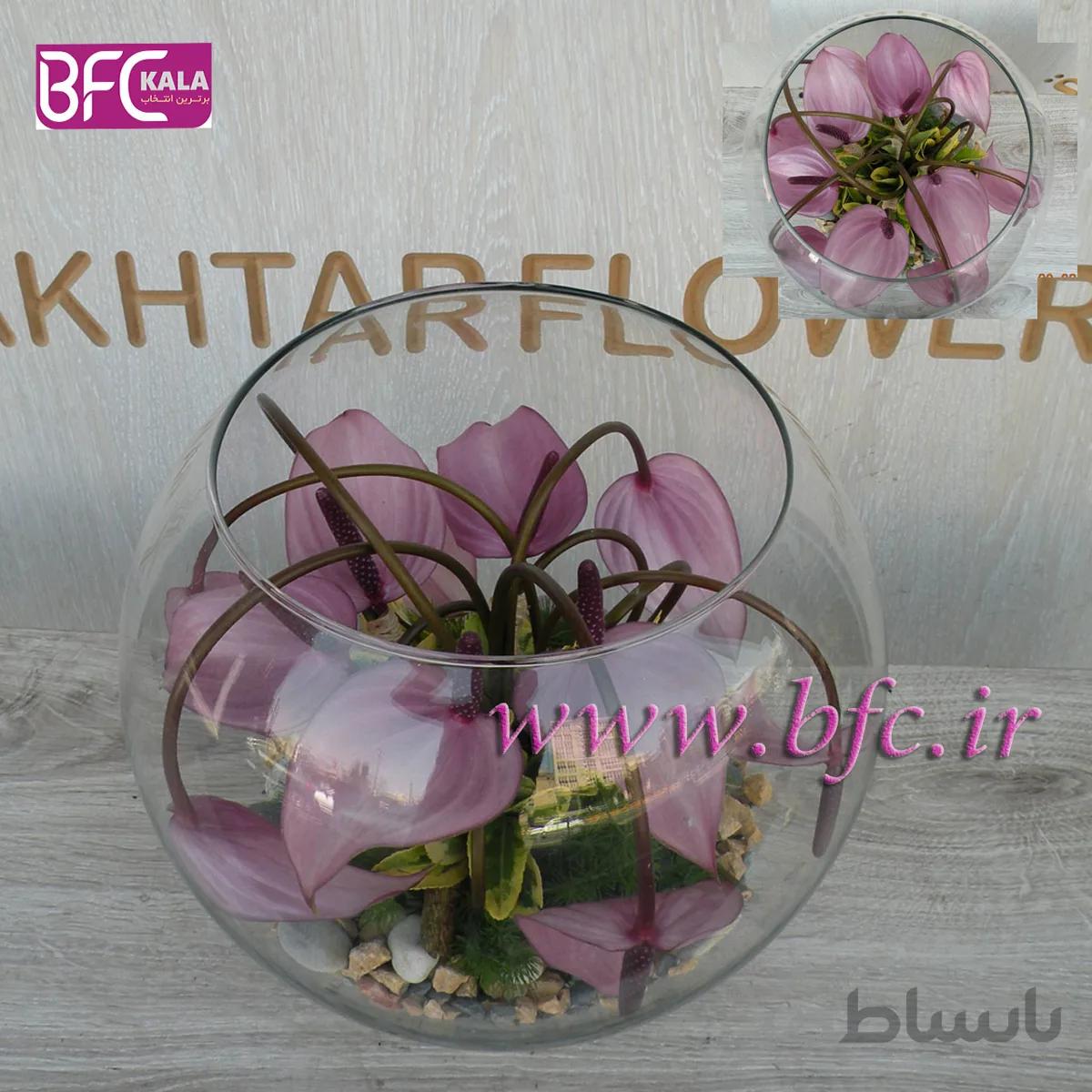 گلدان شیشه ای با آنتریوم