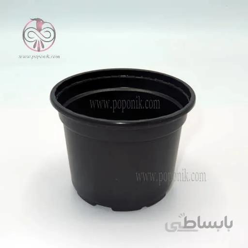 گلدان ژله ای سایز 12