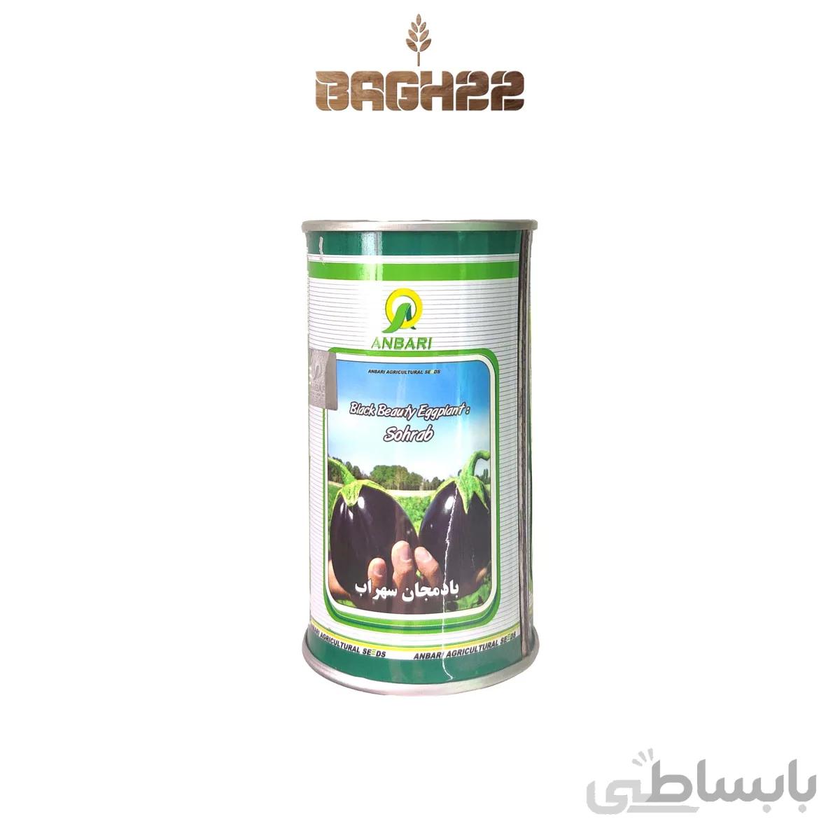بذر بادمجان سهراب 100گرمی