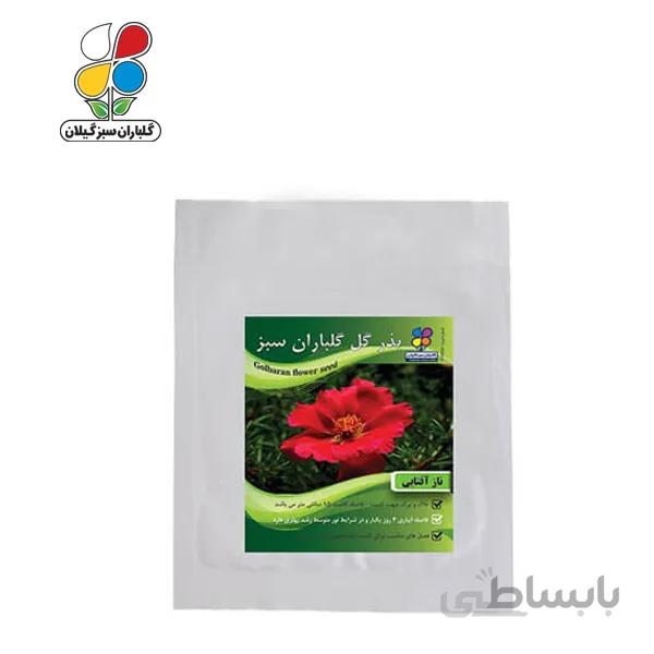 ( بسته 24 عددی ) بذر گل ناز آفتابی بسته بندی بزرگ